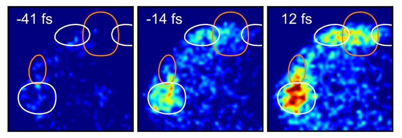 Wie Tomografiebilder zeigen, verändern sich die Molekülorbitale, nachdem die Elektronen durch den ersten Laserimpuls angeregt wurden. Die Veränderungen, die in den Abbildungen sichtbar werden, geschehen auf ultrakurzen Zeitskalen, innerhalb von Femtosekunden.
