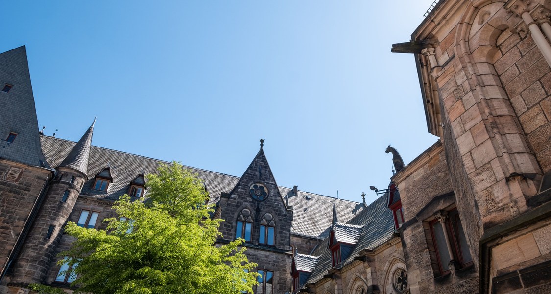 Foto der Alten Universität im Sommer