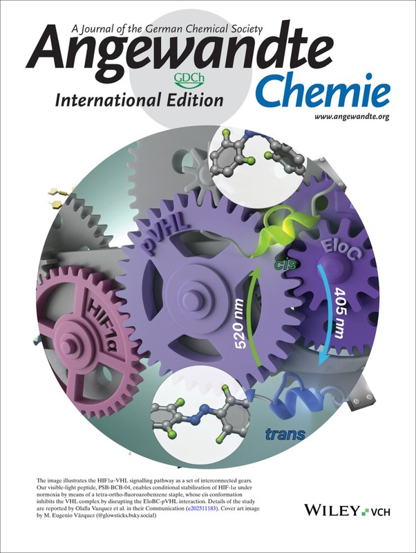Cover der Fachzeitschrift Angewandte Chemie