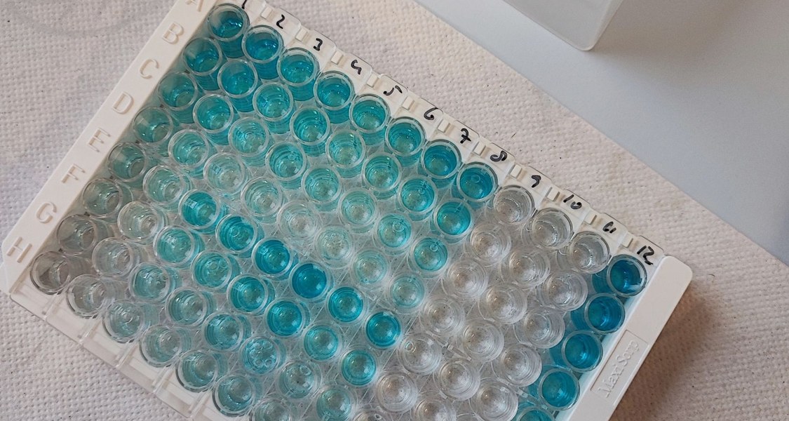 Array für Elisa-Test