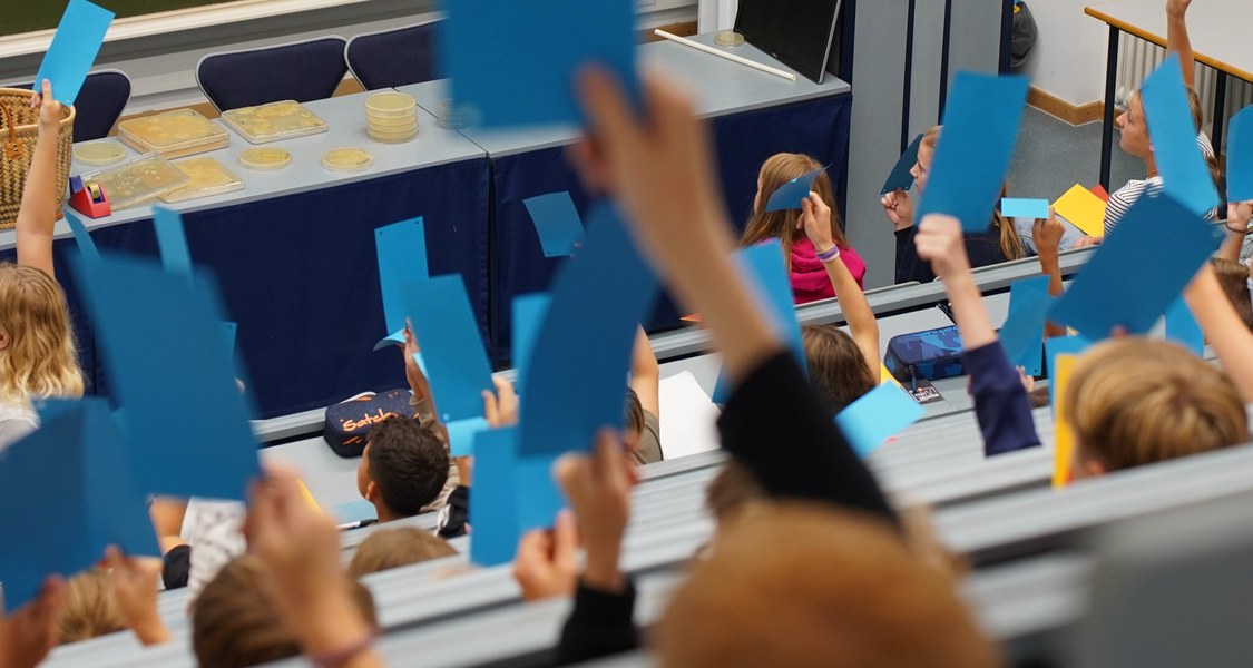 Kinder sind von hinten in den Reihen eines Hörsaal zu sehen. Die halten blaue Karten für ein Quiz hoch.