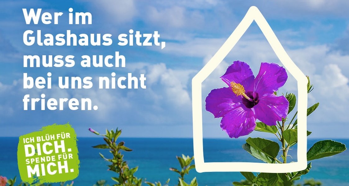 Wer im Glashaus sitzt, muss auch bei uns nicht frieren.