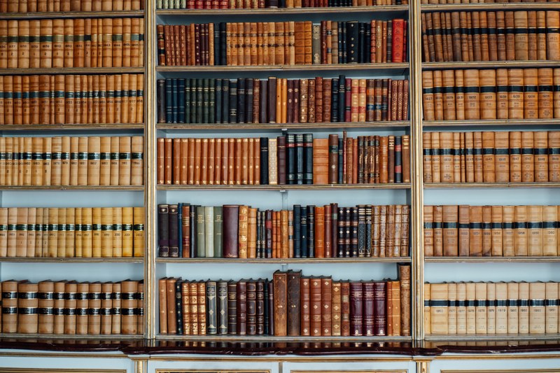 Ein geordnetes Bücherregal vor einer weißen Wand.