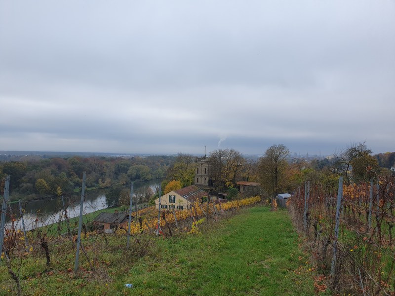 Weinberg