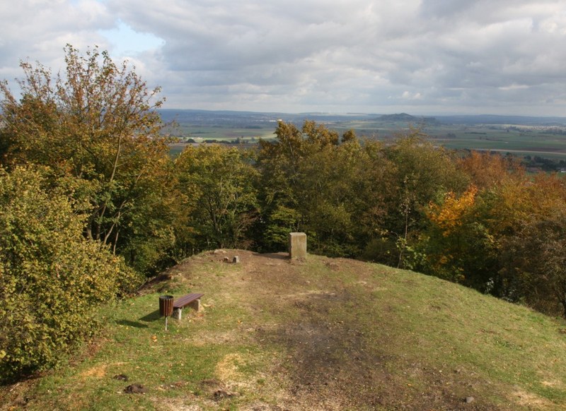 Steinpfosten am nördlichen Rand der Kuppe des Frauenbergs, Stand 2009