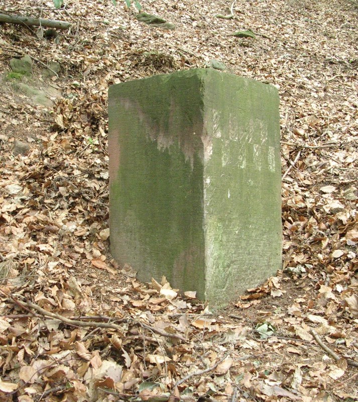 Oststein der Gerling Sternwarte