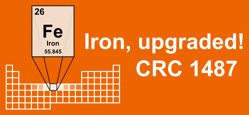Logo für DFG SFB/TRR 1487 Iron, upgraded! Eisen, neu gedacht