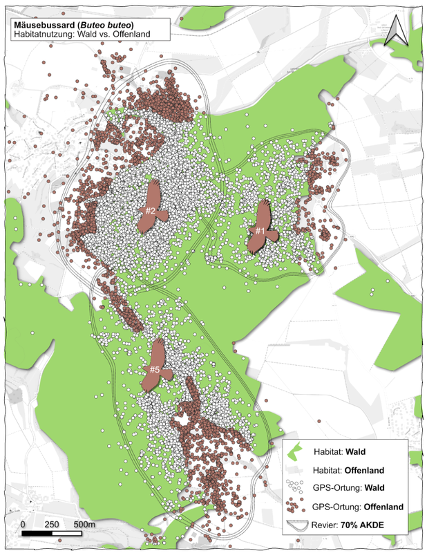 Karte der Habitatnutzung des Mäusebussards von Wald und Offenland