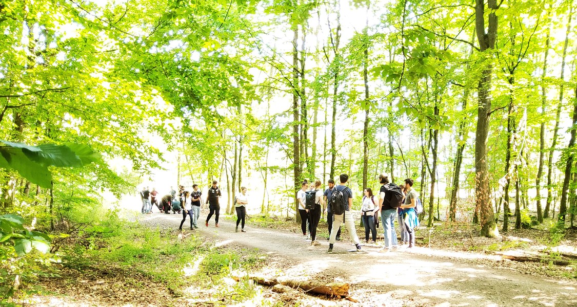 Studierende auf dem SENSO-Trail im Marburger Uniwald. Der SENSO-Trail ist ein pädagogisches Instrument, das Ansätze aus digitalen Naturlehrpfaden und mobilem digitalem Game-based Learning kombiniert.