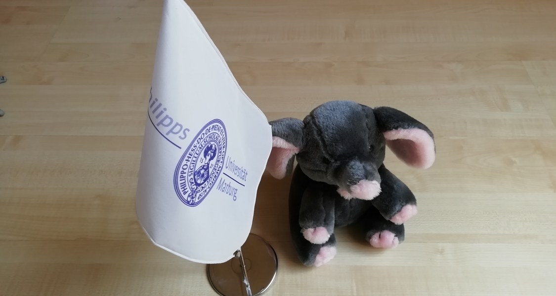 Uni-Fähnchen mit Plüschtier