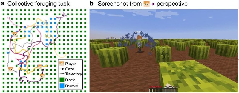 Image from Wu et al., 2925, Nature Communications: a) Map "Collective Foraging Task" with mapped movements and legend, b) Screenshot from a player's view within the Minecraft environment