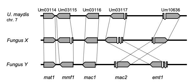 image mel cluster
