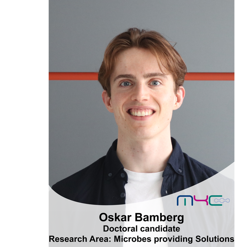Oskar Bamberg