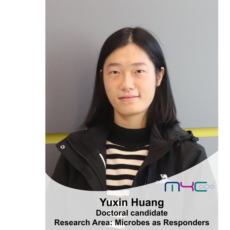 Yuxin Huang