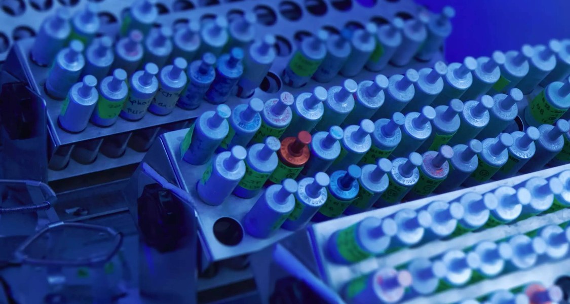 Tubes in the shaking incubator
