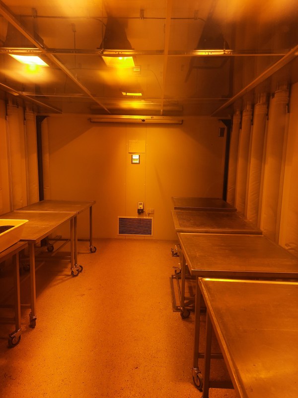 Energy consuming Natrium-Halide Lightning