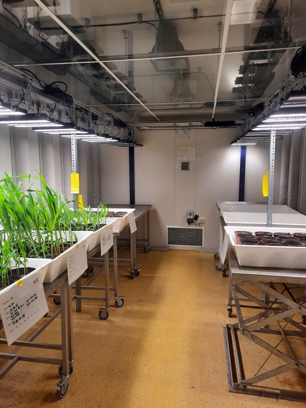 Plant chamber with LED Lightning