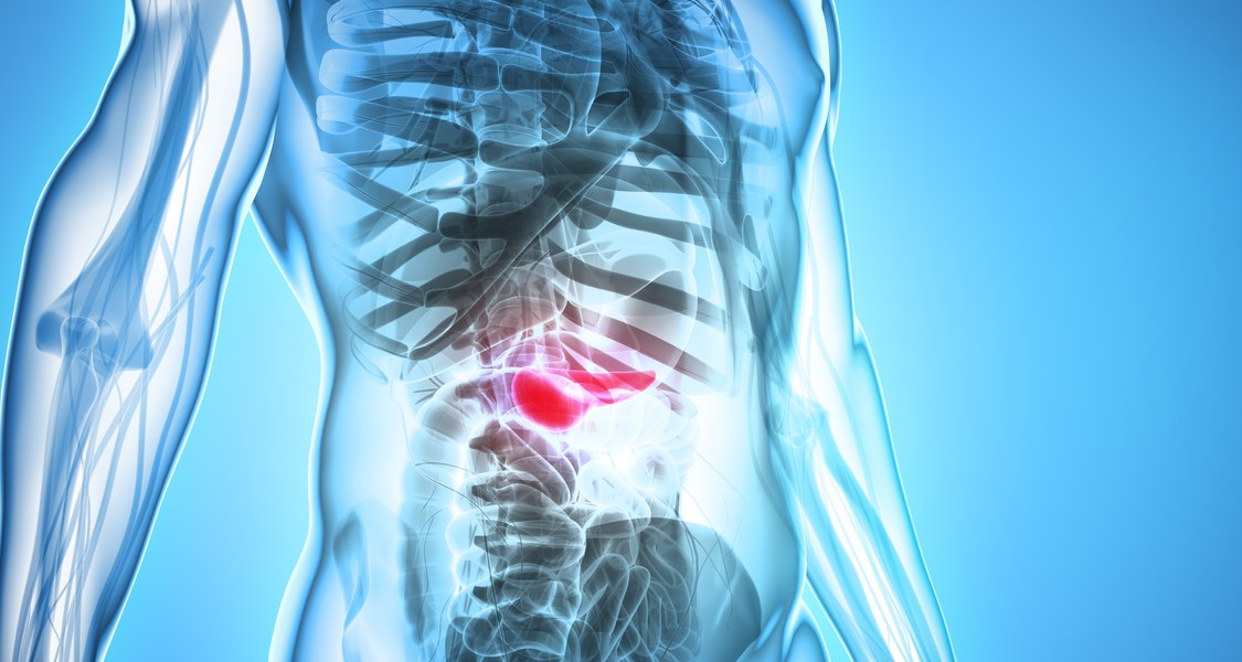 3D illustration of Pancreas