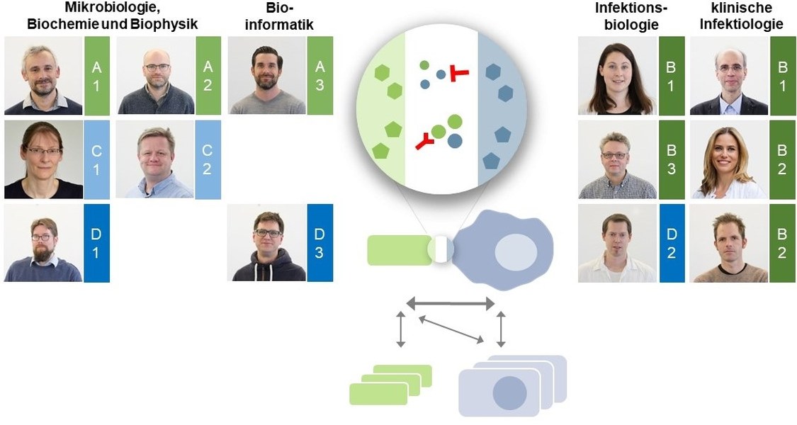 Graphic scheme for the Project Areas listing all involved PI's and their individual key competence