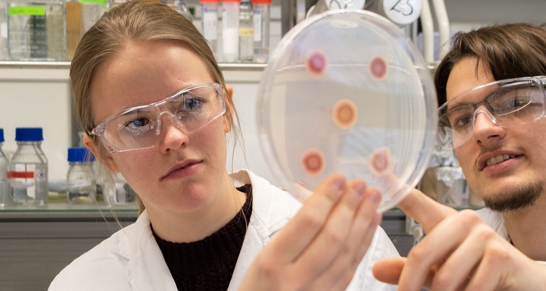 Students in a lab are discussing cultures in a petri dish.
