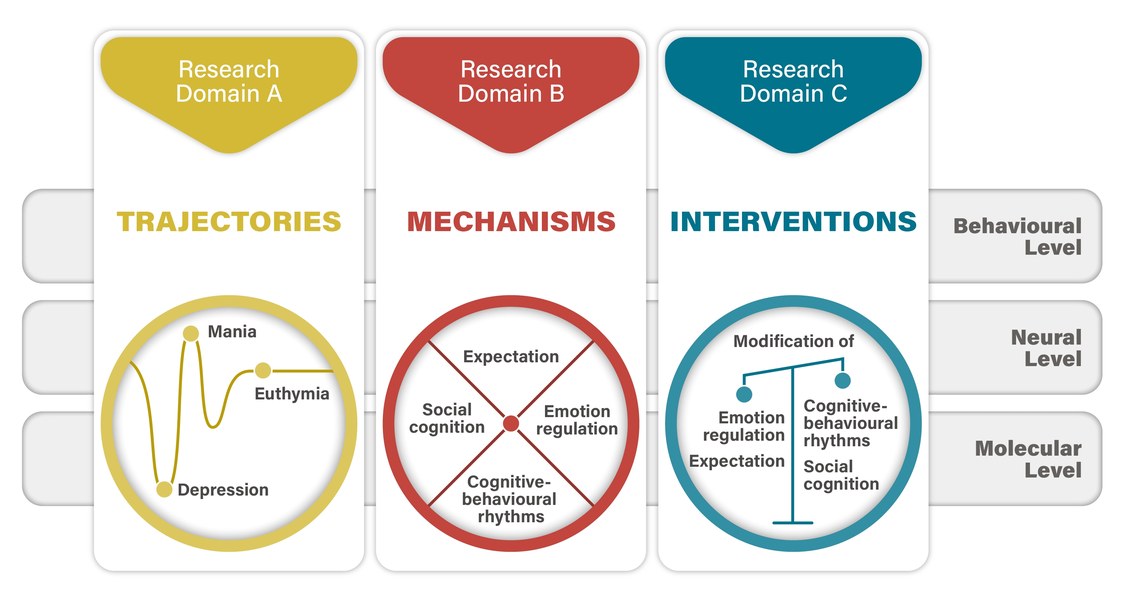 The figure shows the three different research domains including the general framework of the SFB/TRR 393.