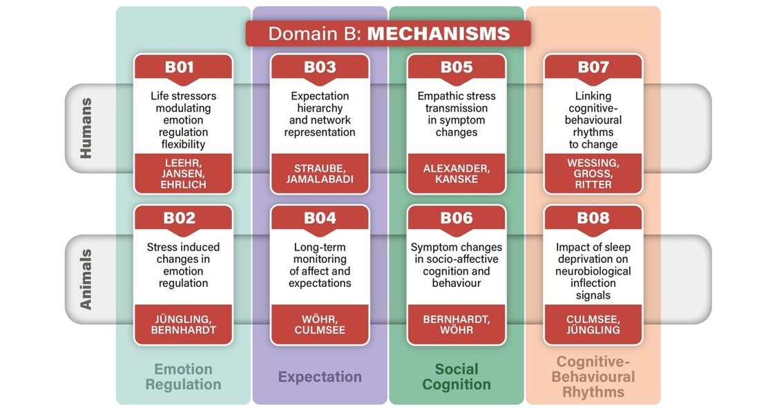 The figure shows the subprojects including titles and PIs of the different projects in Domain B - Mechanisms.