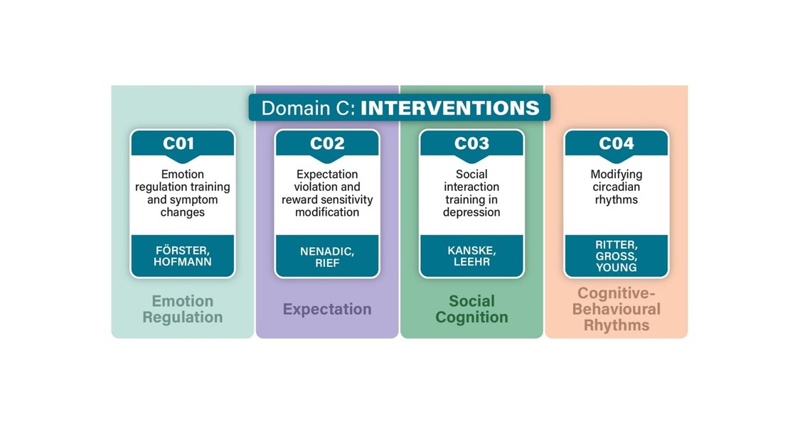 The figure shows the subprojects including titles and PIs of the different projects in Domain C - Interventions.